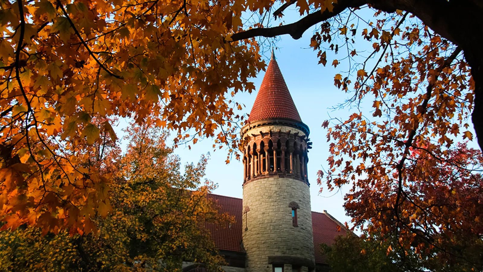 Orton Hall Fall Leaves