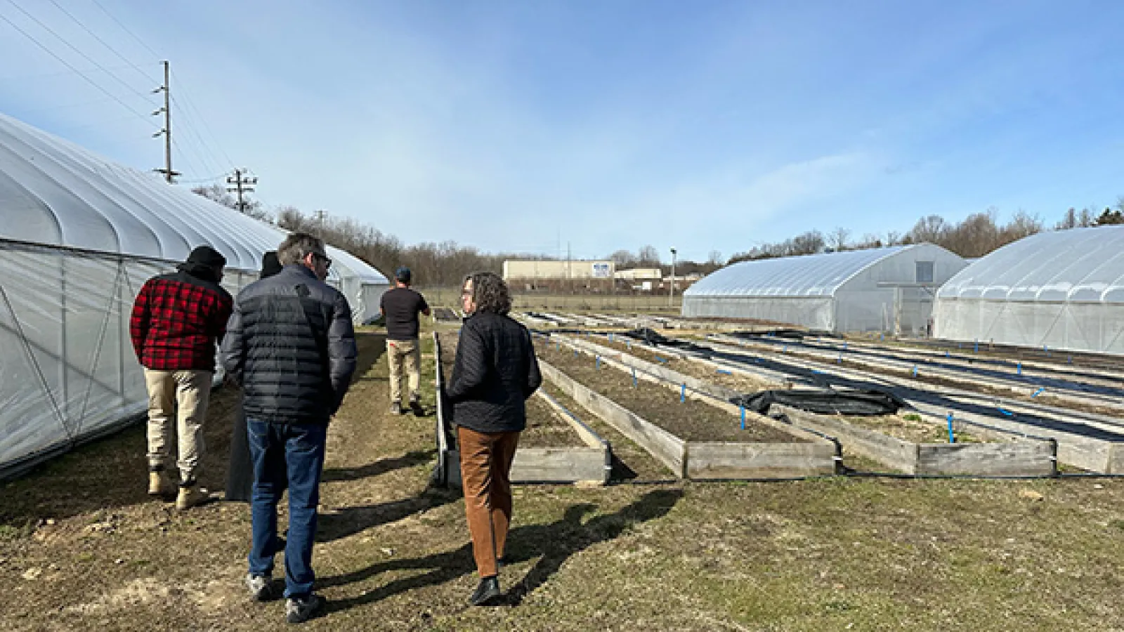 Tour group exploring rows of crops and greenhouses at the Mansfield Urban Farm.