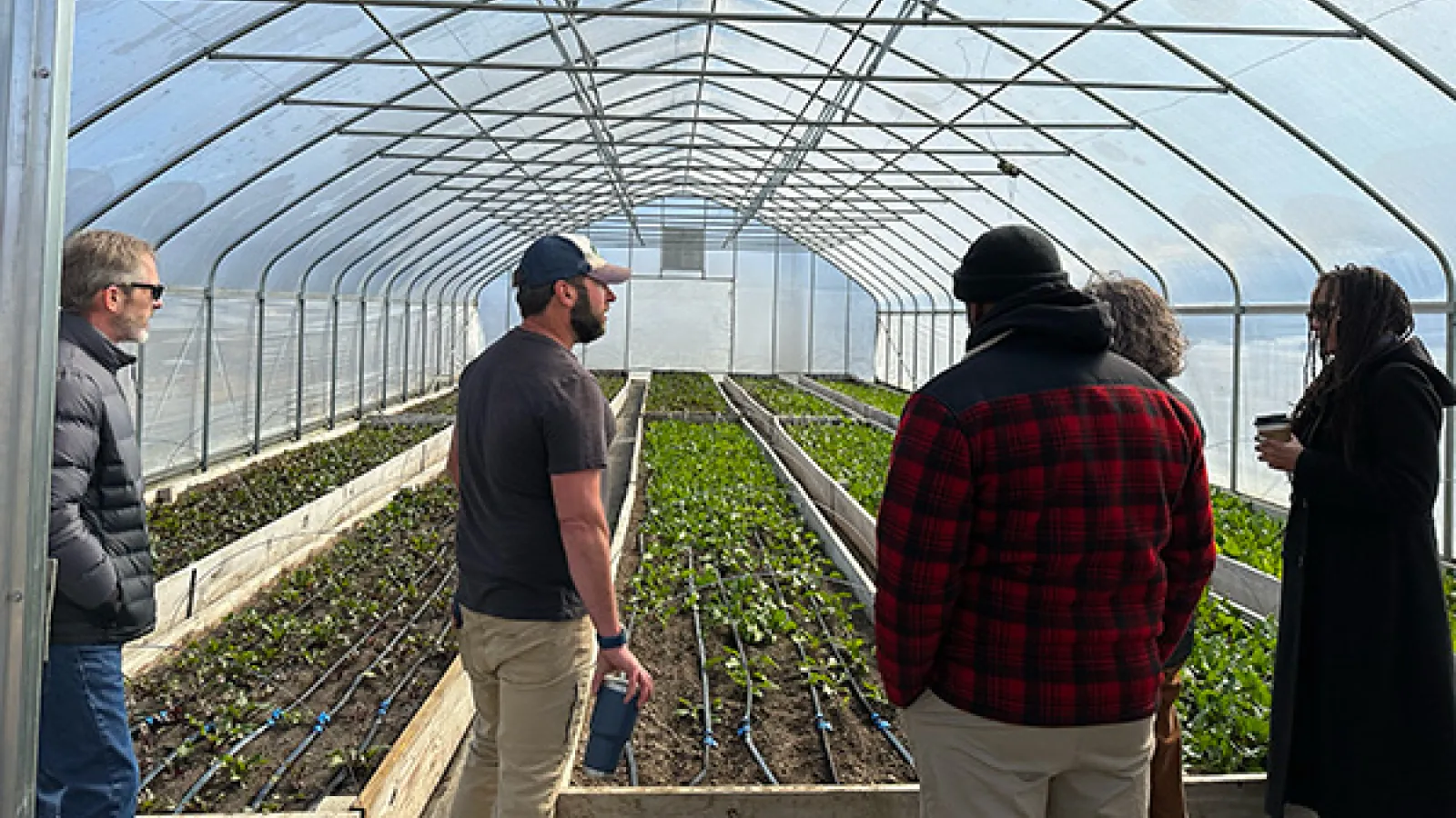 Mansfield Urban Farm tour group talking while inside one of the greenhouses.