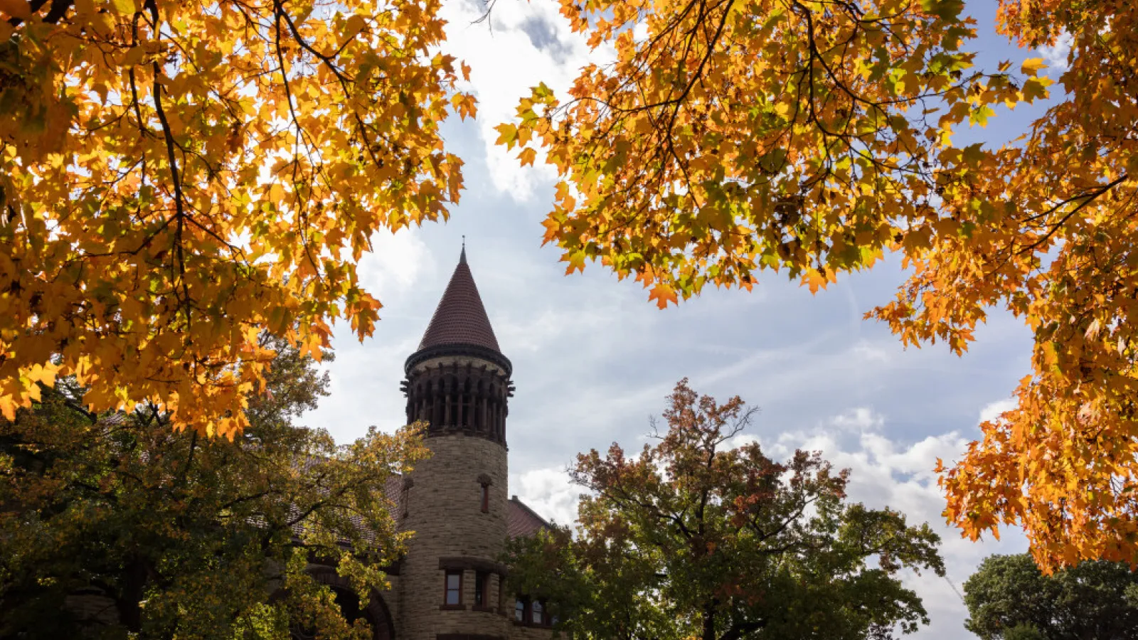 osu fall
