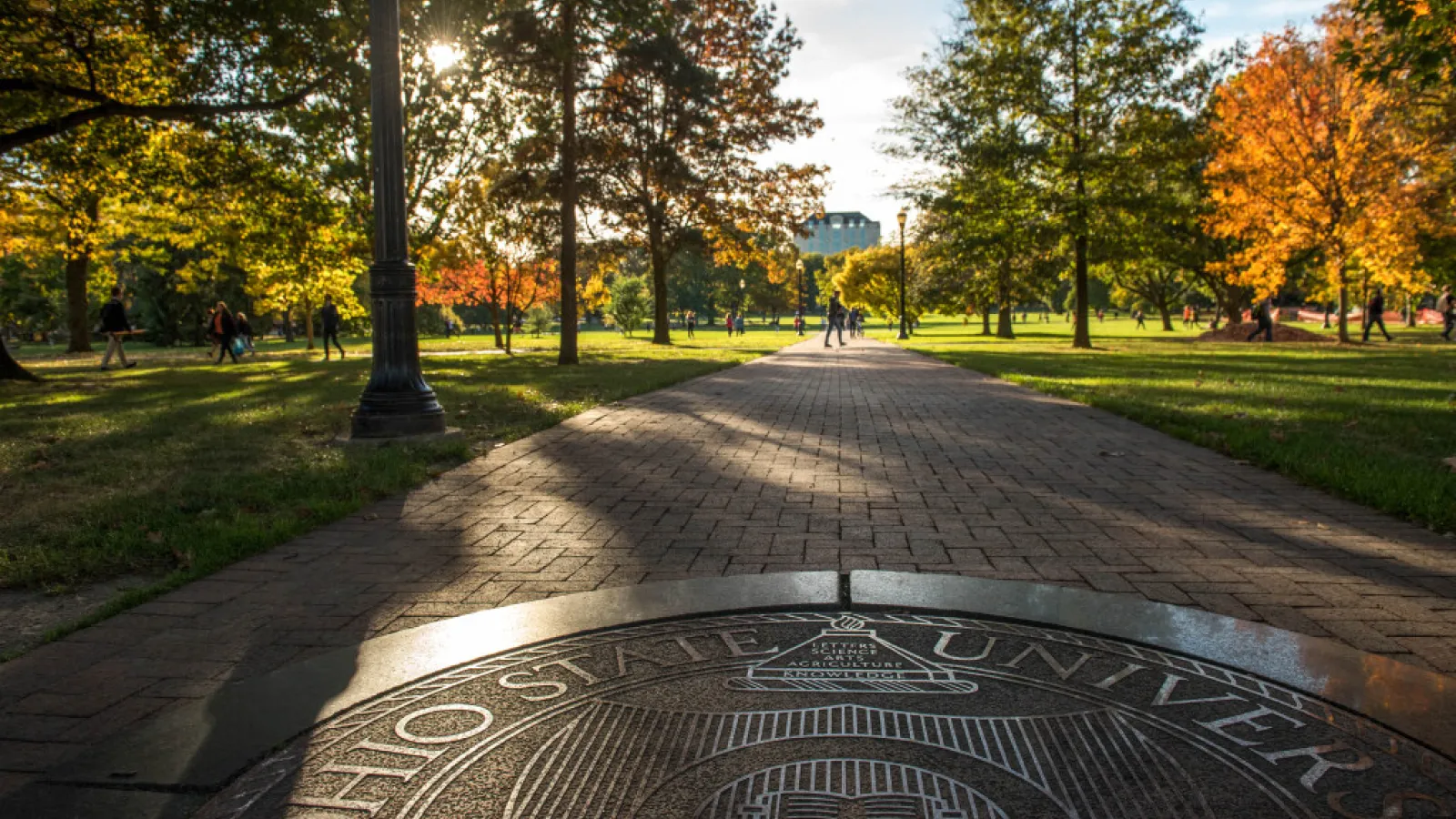 Oval fall