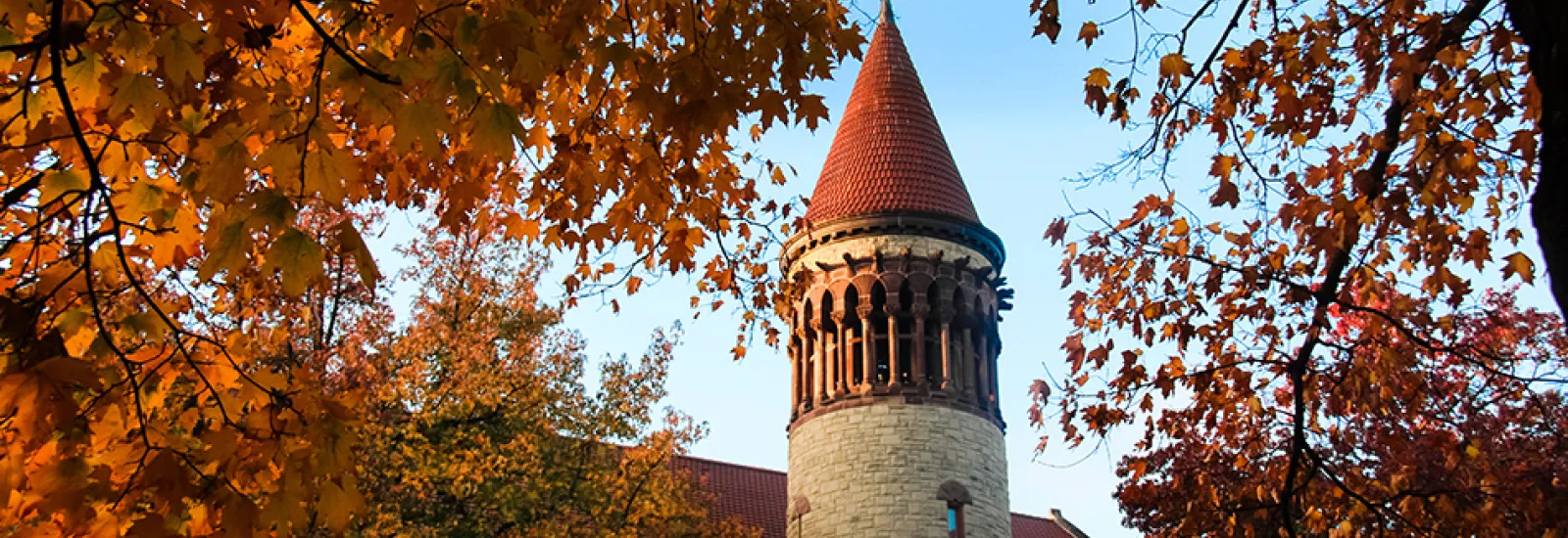 Orton Hall Fall Leaves